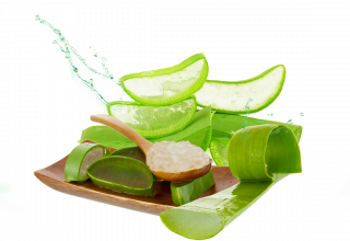 Aloe vera